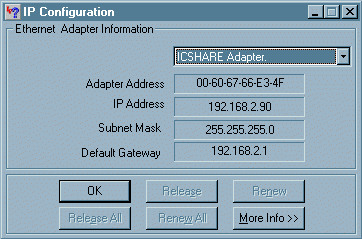 Graphic of Winipcfg dialog box