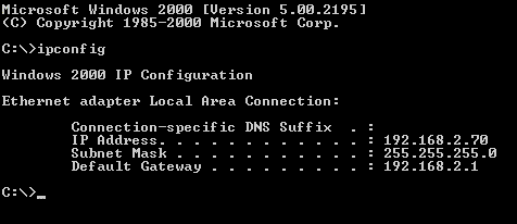 Graphic of Ipconfig dialog box